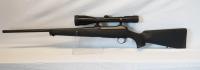 Sauer 101